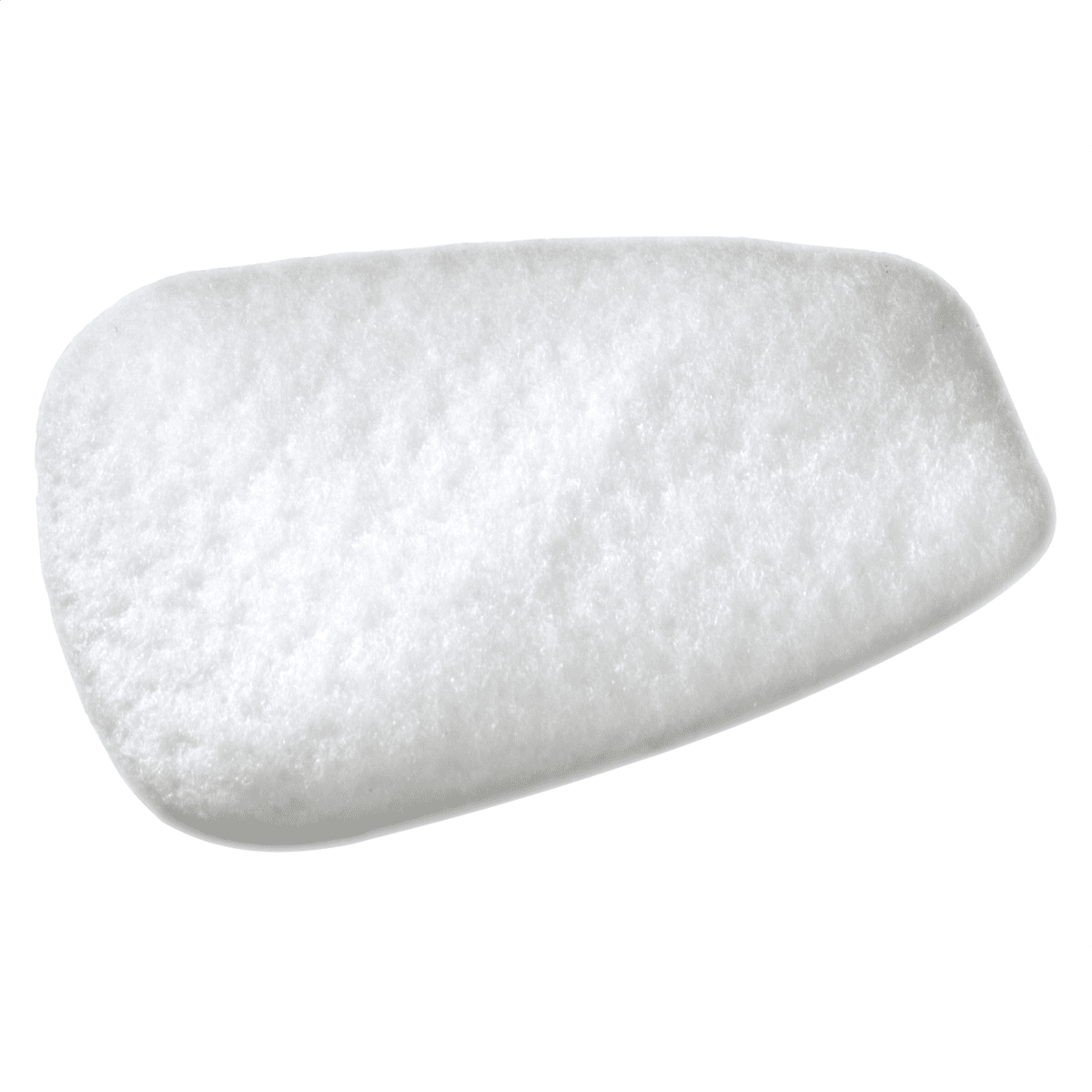 Particulate Filter