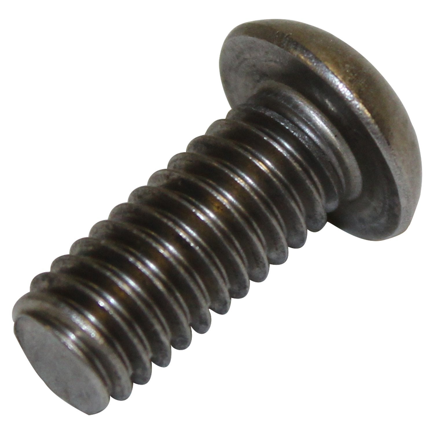 SS TORX BOLT