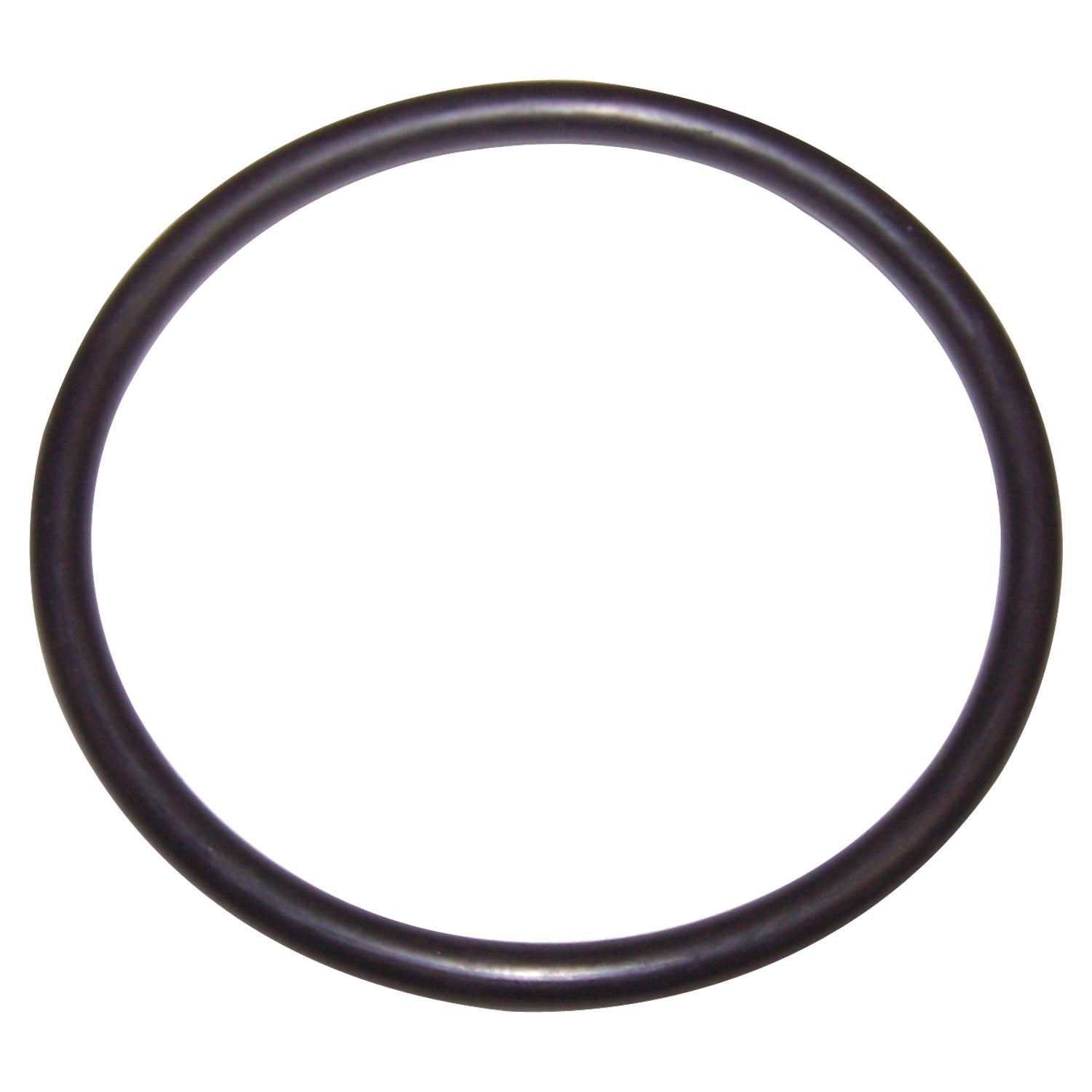 FUEL SEAL