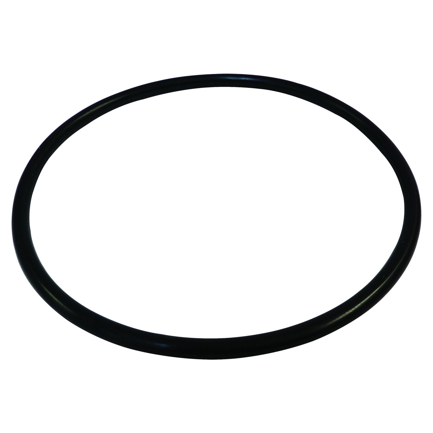 FUEL MODULE SEAL