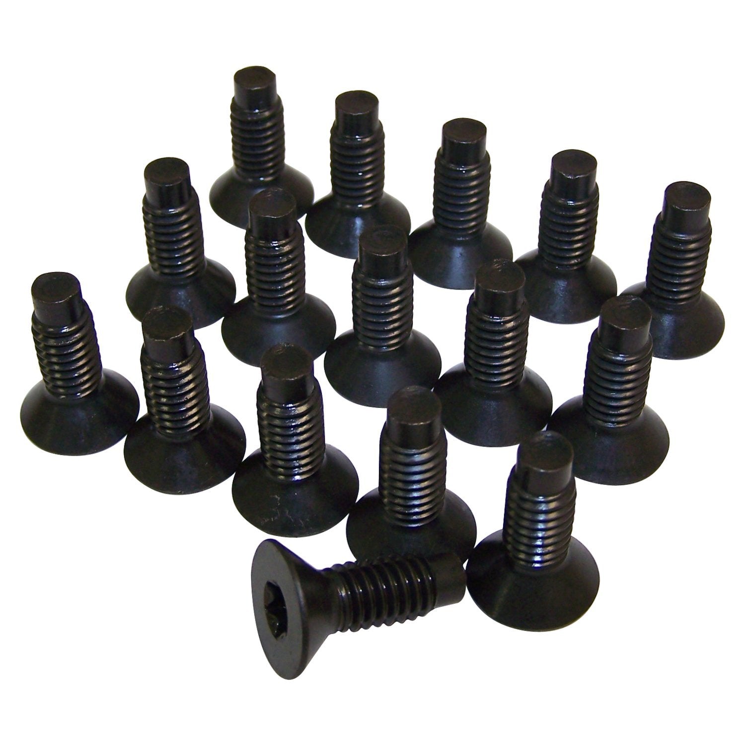 WSHIELD TORX SCREW KIT