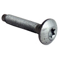BOLT  TORX