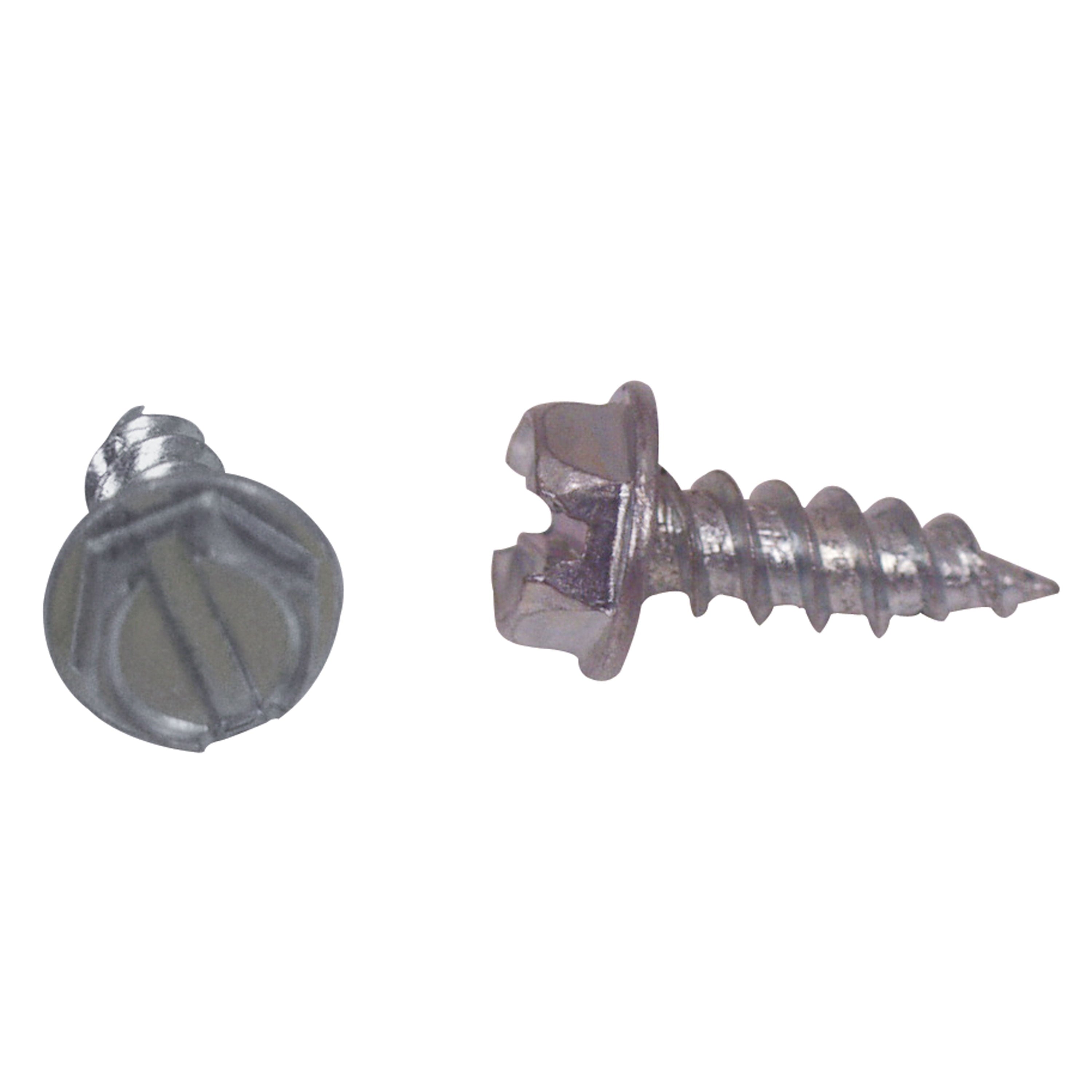 50PK 1-1/4' Screws