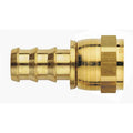#8 Brass Female Swivel