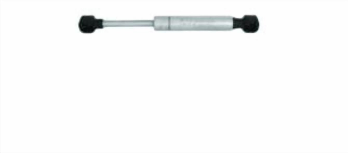 S.s. Gas Spring 15X9.5"-20#