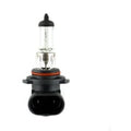Wagner Lighting Lamp