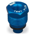 Check Valve Test Plug