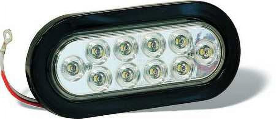Light 6.5IN Oval Back-Up 10 LED Cle