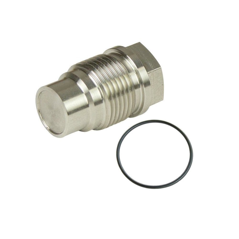 Common Rail Fuel Plug