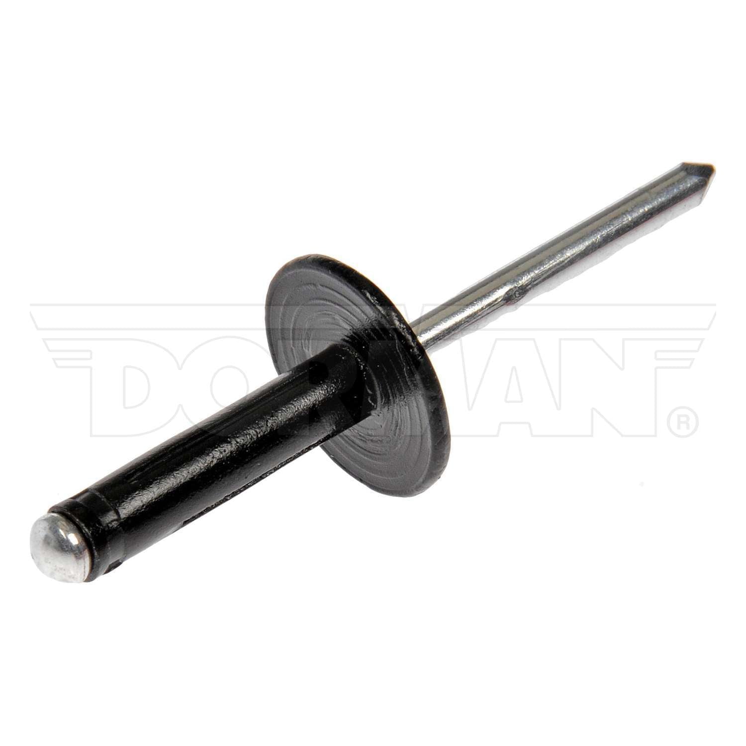 Blind Rivet