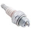 Small Engine Plug 8/BOX
