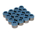 Valve Seals