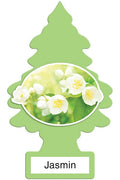 Jasmin - 2PK