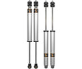 Shock Absorber Set