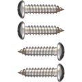 Fasteners Tapping Stainls