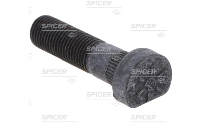 Bolt-Special (6 Per)