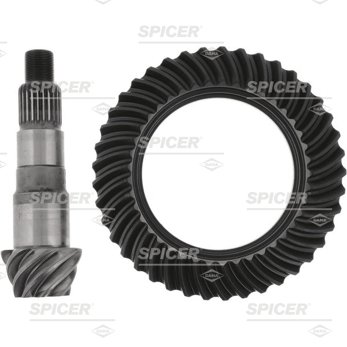 Differential Ring and Pinion Dana