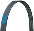Poly Rib Belt  Dayco