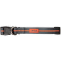 Off-Leash Collar - Large