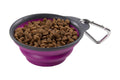 1 Cup Collapsible Travel Cup Fuchsi