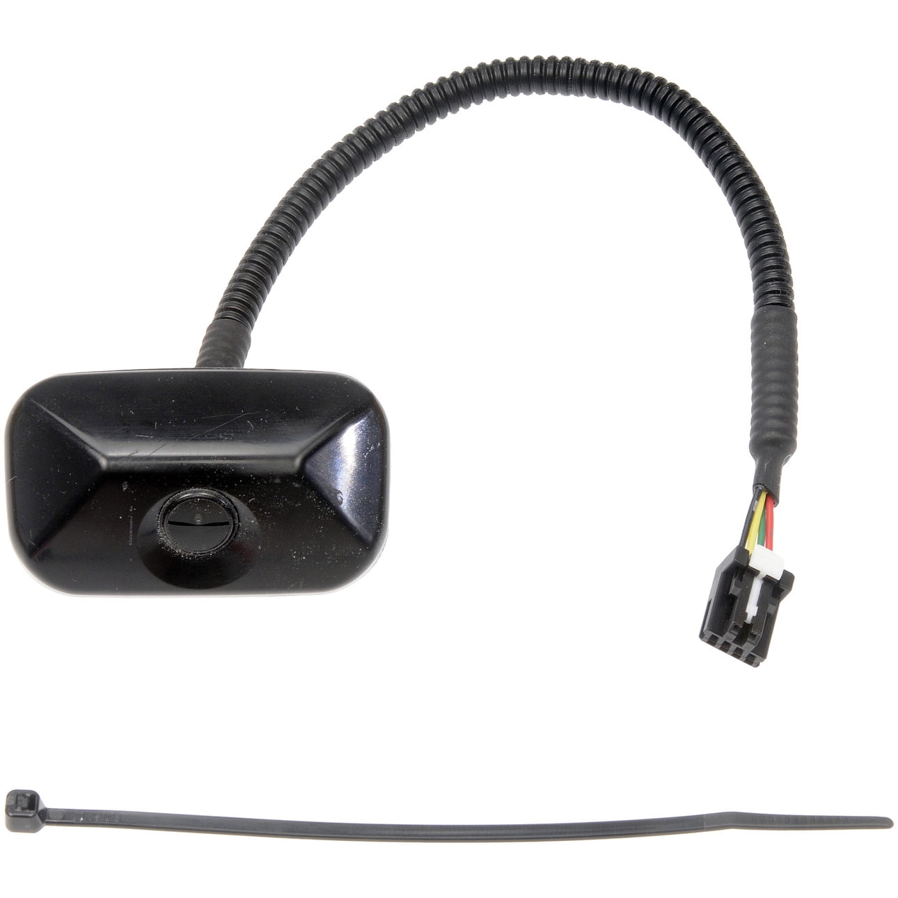 Park Assist Camera