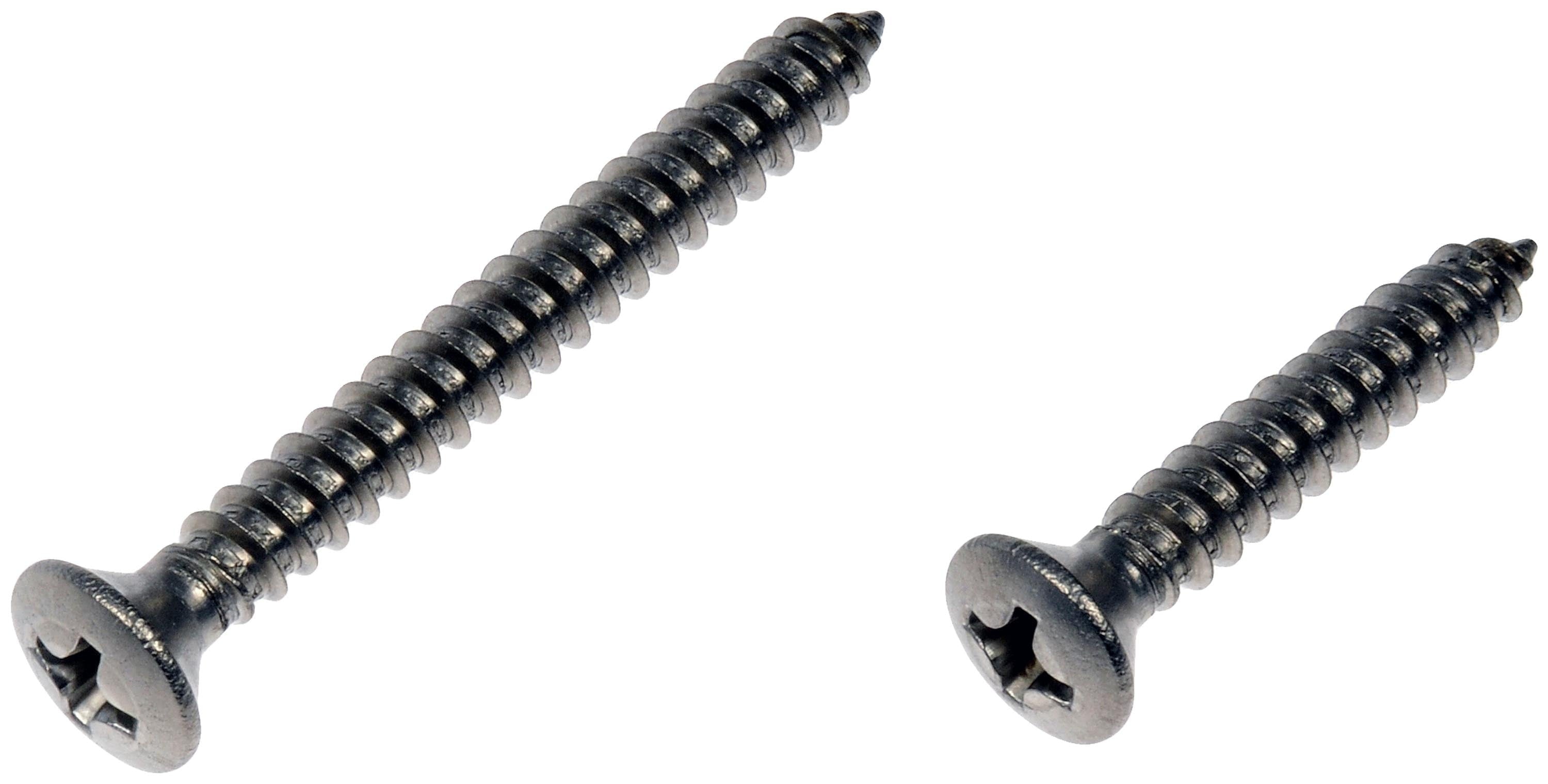 SS Oval Head Screw