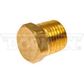 Pipe Plug