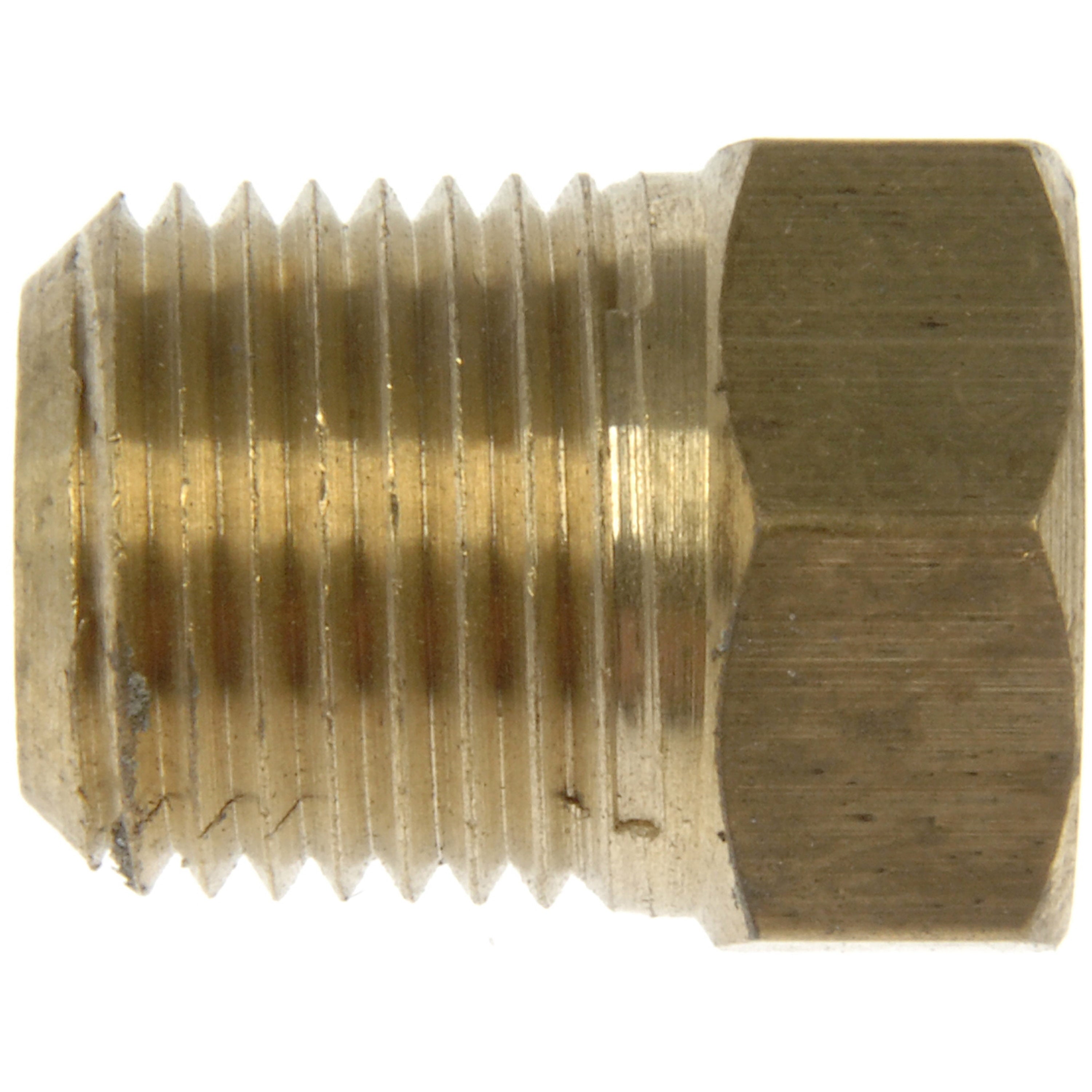 Pipe Plug 1/2