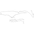 Preformed Brake Line