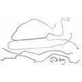 Preformed Brake Line