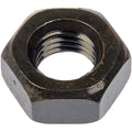 Hex Nut