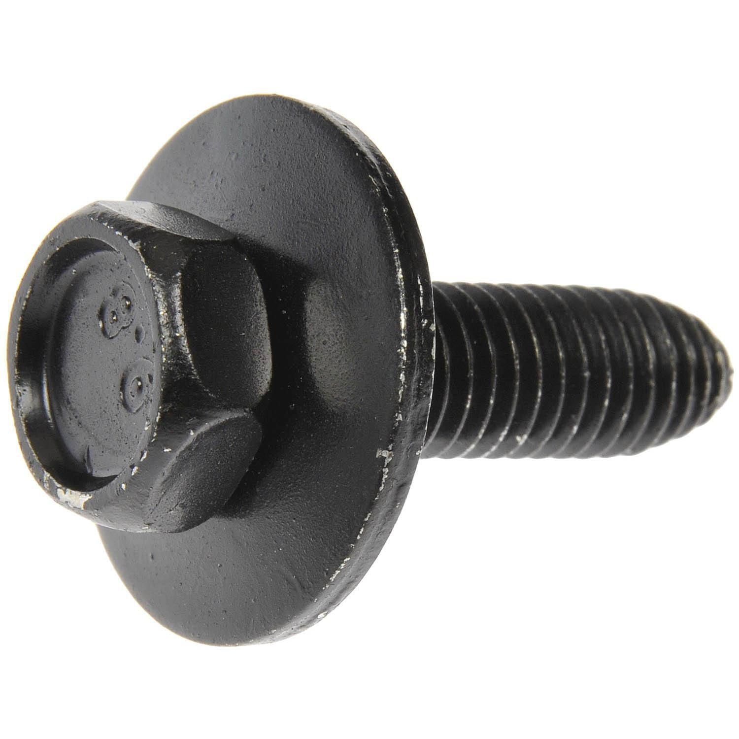 Body Bolts