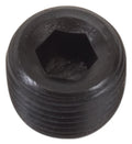 1/2 in Pipe Plug