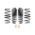 Pro-Kit Performance Springs (Set of
