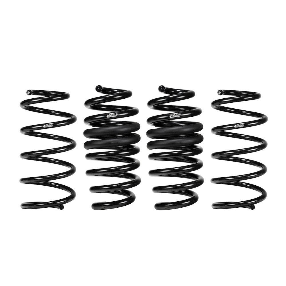 Pro-Kit Performance Springs (Set of