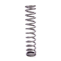 Eibach Race Main Spring