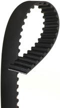 Timing Belt