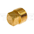 Pipe Plug