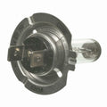 Standard Capsule - Halogen Box