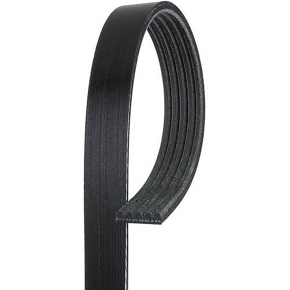 V-Ribbed Belt