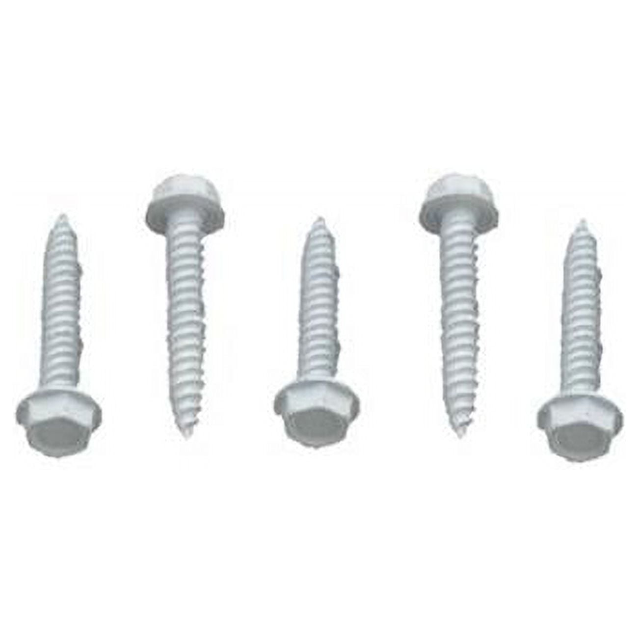Hex Washer Head 8 X 1 Whi