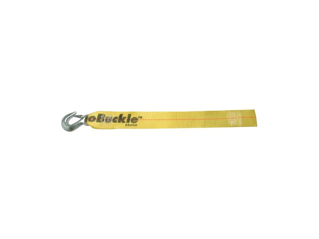 WINCH STRAP WITH LOOP END  3' X 25'