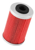 Oil Fitler  Powersports