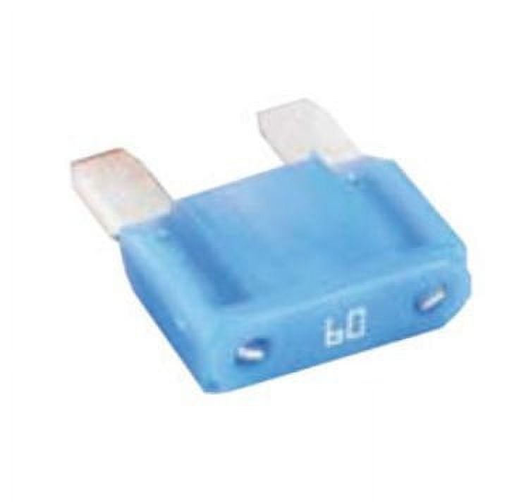 Maxifuse 5 Cds/Pack  60A