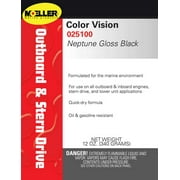 Clr/Vsn Enamel Gloss Black