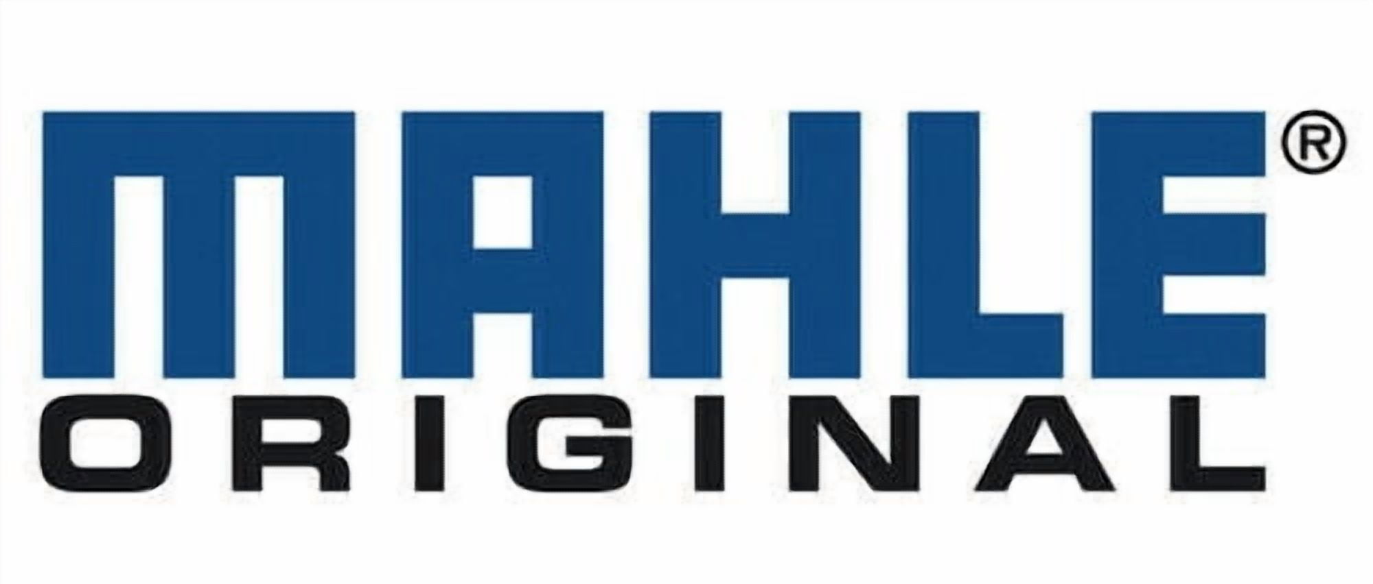 Mahle Filters