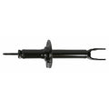 Oespectrum Premium Strut