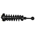 Quick-Strut Assembly