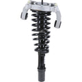 Roadmatic Strut Assembly