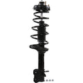 Roadmatic Strut Assembly